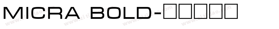 Micra Bold字体转换